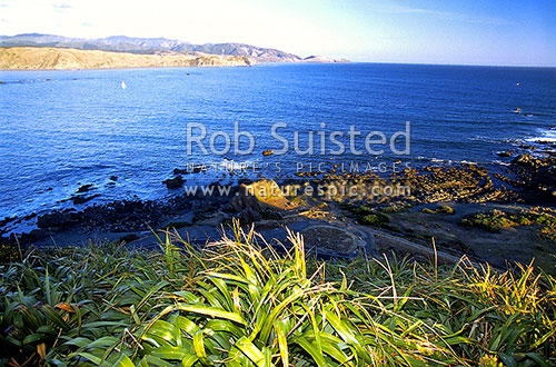 View of the entrance to Wellington Harbour and Palmer Bay from Miramar Pen. Walkway, Wellington, Wellington City District, Wellington Region, New Zealand (NZ)