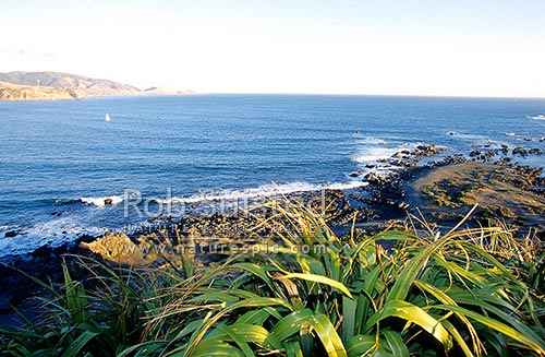 View of the entrance to Wellington Harbour and Palmer Bay from Miramar Pen. Walkway, Wellington, Wellington City District, Wellington Region, New Zealand (NZ)