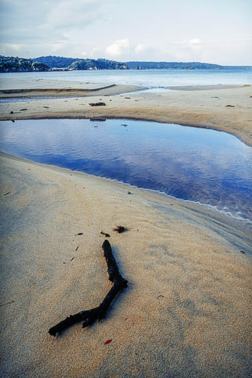 Meandering creek entering Tikotatahi Bay beach, South East Stewart Island, Stewart Island, Stewart Island District, Southland Region, New Zealand (NZ)