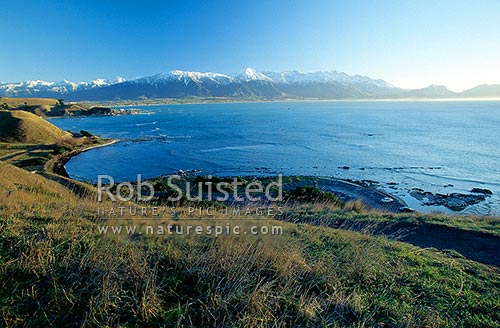 Snow covered Seaward Kaikoura Mountains from Point Kean; sunrise, Kaikoura, Kaikoura District, Canterbury Region, New Zealand (NZ)