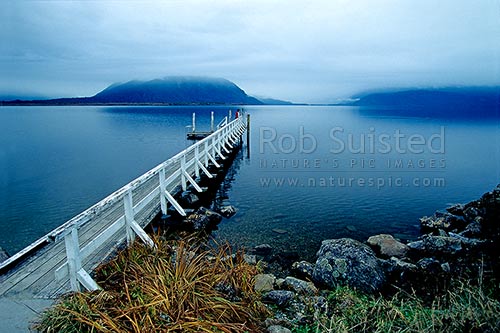 Misty day on the shores of Lake Brunner. Hohonu Range behind, Westland, Westland District, West Coast Region, New Zealand (NZ)