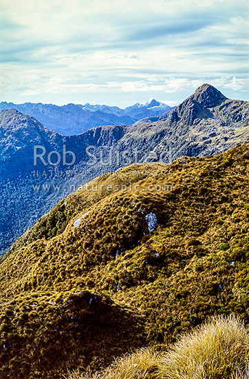 Looking north past the George River - Pitt River saddle to Mount (Mt). Tutuko, Fiordland National Park, Southland District, Southland Region, New Zealand (NZ)