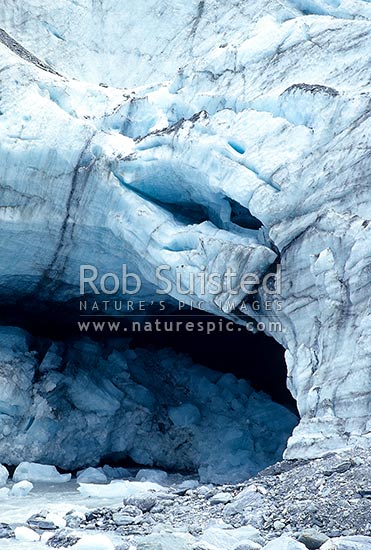 Fox Glacier terminal face and Fox River. 14km long, 245masl, Fox Glacier, Westland District, West Coast Region, New Zealand (NZ)