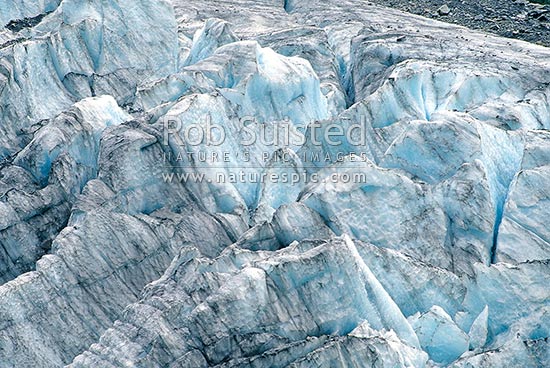 Fox Glacier terminal face and Fox River. 14km long, 245masl, Fox Glacier, Westland District, West Coast Region, New Zealand (NZ)