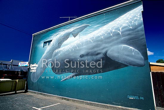 Building painting in the main street of Kaikoura, Kaikoura, Kaikoura District, Canterbury Region, New Zealand (NZ)