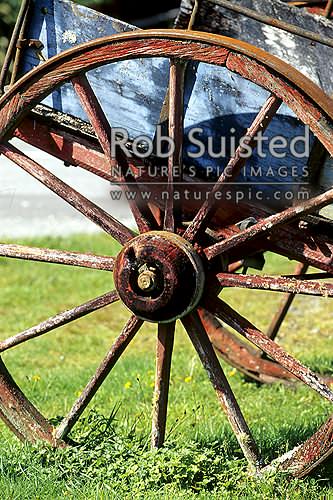 Old wagon wheel, Westland, New Zealand (NZ)