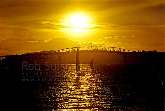 The Auckland Harbour Bridge at sunset with yachts, Auckland, Auckland City District, Auckland Region, New Zealand (NZ)