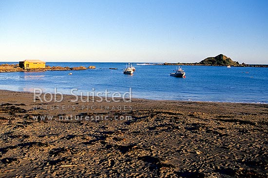 Fishing boats and historic factory building at Island Bay, Taputeranga Island beyond, Wellington, Wellington City District, Wellington Region, New Zealand (NZ)