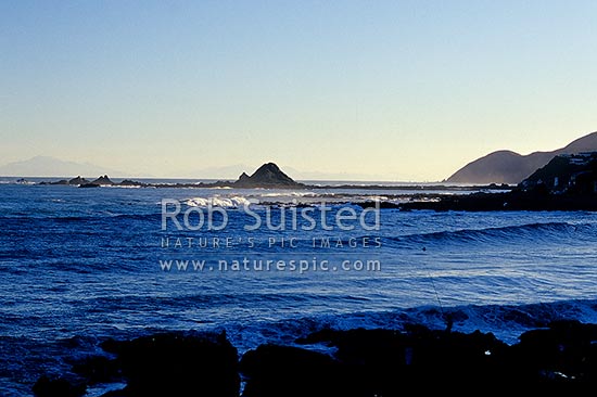 Fisherman fishing in Houghton Bay. Taputeranga Island beyond. Wellington South Coast, Wellington, Wellington City District, Wellington Region, New Zealand (NZ)