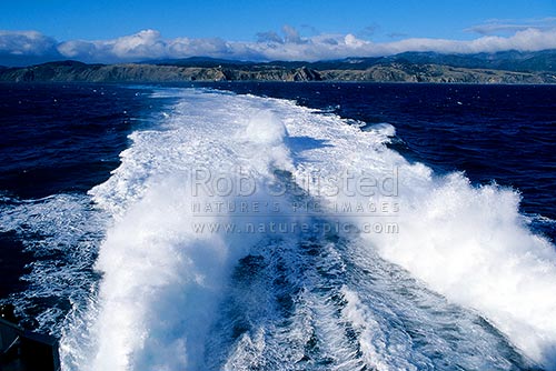 Wake of fast ferry as it leaves Wellington Harbour for Picton, with Pencarrow Head in background, Wellington, New Zealand (NZ)