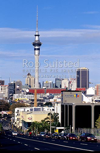 Auckland Sky Tower and city, Auckland, Auckland City District, Auckland Region, New Zealand (NZ)