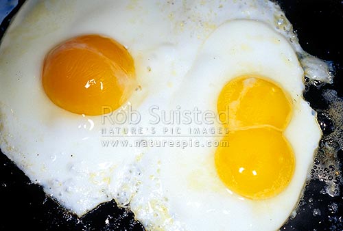 Fried eggs with a double yoke - 'double yoker', New Zealand (NZ)