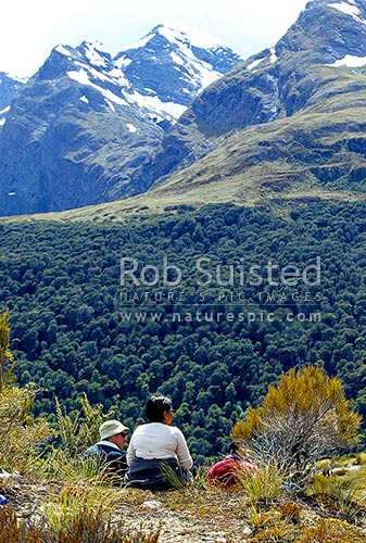 Day walking tourist visitors to the Key Summit interpretative nature walk, Routeburn Track, Fiordland National Park, Southland District, Southland Region, New Zealand (NZ)