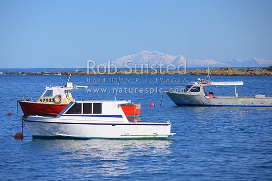 Fishing boats moored in Island Bay, with snow covered Kaikoura Ranges beyond, Wellington, Wellington City District, Wellington Region, New Zealand (NZ)