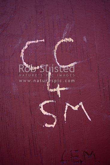 Graffiti (tagging) scratched or etched into wooden sign, New Zealand (NZ)