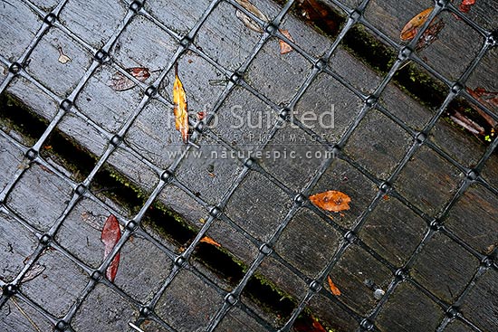 Department of Conservation (DOC) walking track timber boardwalk with non slip mesh overlay., New Zealand (NZ)