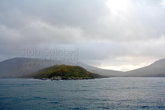 Tandy Inlet (right) in Smith Harbour, Auckland Islands. World Heritage site, Auckland Islands, NZ Sub Antarctic District, NZ Sub Antarctic Region, New Zealand (NZ)