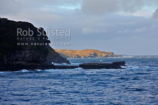 Signpost Point in front of Musgrave inlet and headland. World Heritage site, Auckland Islands, NZ Sub Antarctic District, NZ Sub Antarctic Region, New Zealand (NZ)