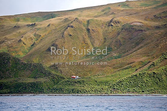 Sandy Bay 'melon' field hut on Macquarie Island, Macquarie Island, NZ Sub Antarctic District, NZ Sub Antarctic Region, Australia