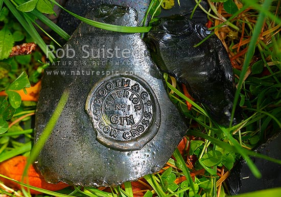 Broken bottle fragments - historical artefact from the Enderby Settlement at Hardwicke (1849-1852). Booth and Co. 55 Cow Cross, No. 1 Superior Gin, Auckland Islands, NZ Sub Antarctic District, NZ Sub Antarctic Region, New Zealand (NZ)