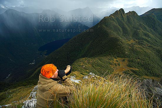 Hunter roaring or bugling for rutting deer on tussock tops above Lake Alice, Edith River. Wapiti hunting. Blaze orange hi vis hat, Fiordland National Park, Southland District, Southland Region, New Zealand (NZ)