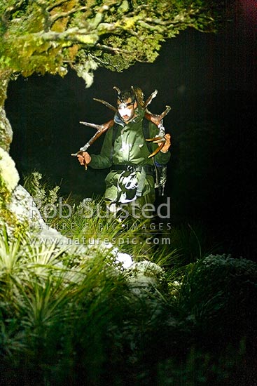 Deer hunter carrying trophy wapiti antlers back to camp at night by torch in snow storm, Fiordland National Park, Southland District, Southland Region, New Zealand (NZ)