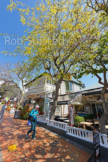 Parnell Road shops, cafes and restaurants in the suburb of Parnell, Auckland, Auckland City District, Auckland Region, New Zealand (NZ)