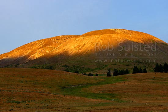 Mount Chisholm (1518m) sunrise above Molesworth Station Homestead. Named for manager Bill Chisholm, Molesworth Station, Marlborough District, Marlborough Region, New Zealand (NZ)