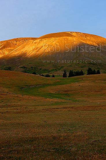 Mount Chisholm (1518m) sunrise above Molesworth Station Homestead. Named for manager Bill Chisholm, Molesworth Station, Marlborough District, Marlborough Region, New Zealand (NZ)