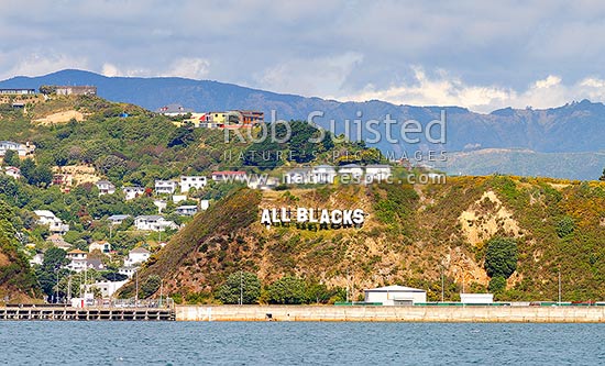 Miramar's controversial Hollywood style sign installed by Wellington International Airport, Wellington, Wellington City District, Wellington Region, New Zealand (NZ)