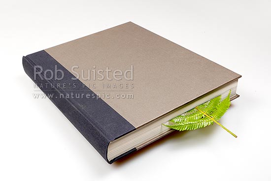 Silver Fern frond leaf inside large book concept illustration. New Zealand iconic flora Cyathea dealbata, New Zealand (NZ)