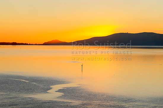 Otago Harbour dawn, looking towards Aramoana, The Spit, Taiaroa Head (centre left), Hautai Hill (right) before sunrise, Port Chalmers, Dunedin City District, Otago Region, New Zealand (NZ)