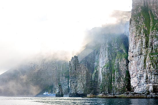 Ship wreck of the Russian transport vessel “Petrozavodsk” in May 2009 at Bear Island, under the Stappen Cliffs, Bear Island (Bjørnøya), Svalbard