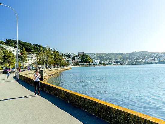 Oriental Bay Parade and Beach below Roseneath on Wellington Harbour. St Gerards Monastery on hill, City beyond, Wellington City, Wellington City District, Wellington Region, New Zealand (NZ)