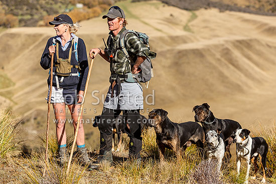 Georgina and James Murray, managers of The Branches Station, with dogs during the autumn muster. Sixteen Mile Hut in the upper Shotover River valley behind, Branches Station, Shotover Valley, Queenstown Lakes District, Otago Region, New Zealand (NZ)