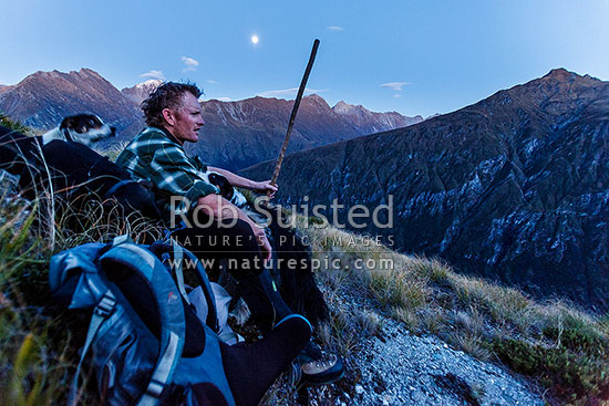 James Murray (station manager) on autumn merino muster beat. 4am start, climbing in the full moon light, here at 1100 metres before sunrise, with another 700m to go. Shotover River headwaters, Branches Station, Shotover Valley, Queenstown Lakes District, Otago Region, New Zealand (NZ)