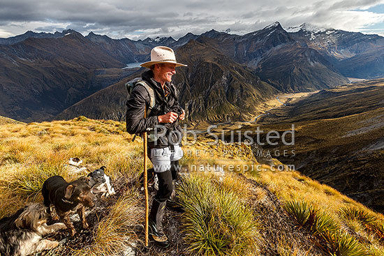 James Murray (station manager) on autumn merino muster beat high above the Shotover Valley headwaters. Lochnagar nestled in the Richardson Mountains at left, Branches Station, Shotover Valley, Queenstown Lakes District, Otago Region, New Zealand (NZ)