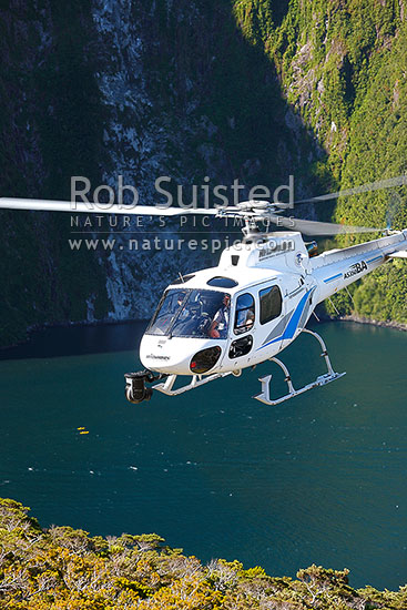 Heliworks Aerospatiale AS350BA Squirrel helicopter being used for aerial HD cineflex filming work in Milford Sound, Fiordland National Park, Southland District, Southland Region, New Zealand (NZ)