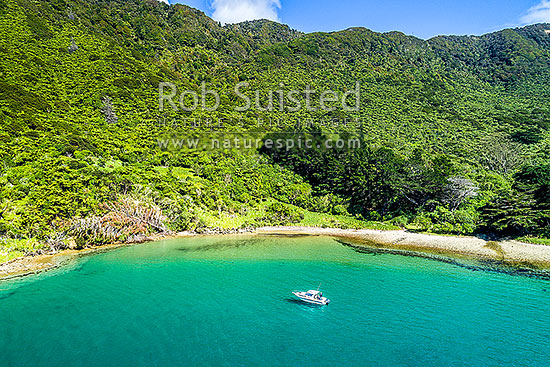 Cannibal Cove in the outer Queen Charlotte Sound (Totaranui). An important site from Captain Cook's visits to NZ. Aerial view, Marlborough Sounds, Marlborough District, Marlborough Region, New Zealand (NZ)