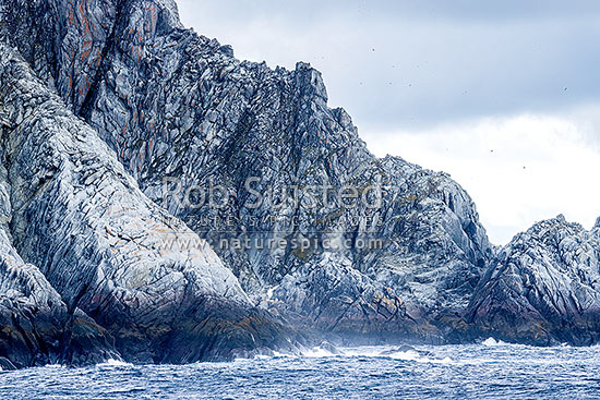 Rugged rocky shore of Cornwallis Island in the South Shetland Islands. Granodiorite rock, Elephant Island, Antarctica Region, Antarctica