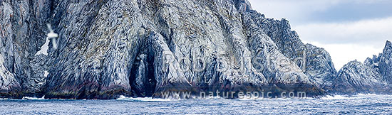 Cornwallis Island rugged rocky coastline in the Antarctic South Shetland Islands. Panorama, Elephant Island, Antarctica Region, Antarctica