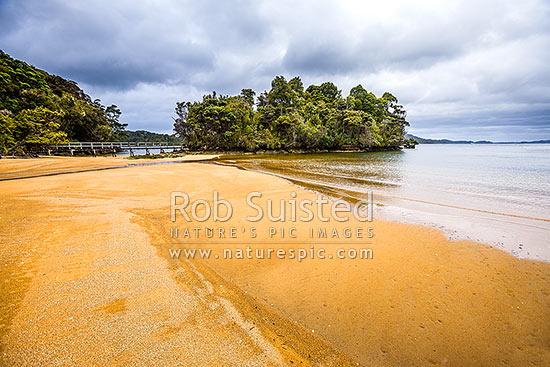 Millars Beach, Prices Inlet, Paterson Inlet, Rakiura, Paterson Inlet, Stewart Island District, Southland Region, New Zealand (NZ)