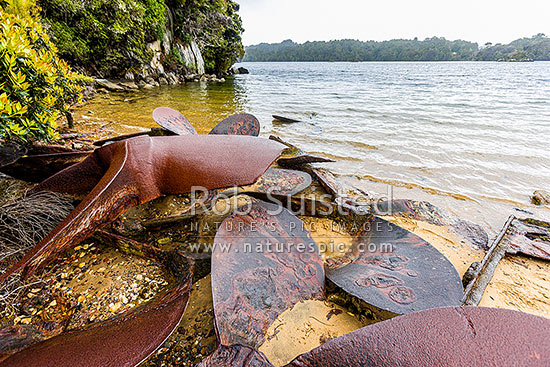 Whalers' Base Bay remains of Rosshavet Whaling Company chaser repair shipyard at Kaipipi, 1925-1931. Old propellers visible, Paterson Inlet Whaka a Te Wera, Paterson Inlet, Stewart Island District, Southland Region, New Zealand (NZ)