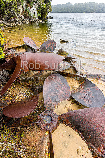 Whalers' Base Bay remains of Rosshavet Whaling Company chaser repair shipyard at Kaipipi, 1925-1931. Old propellers visible, Paterson Inlet Whaka a Te Wera, Paterson Inlet, Stewart Island District, Southland Region, New Zealand (NZ)