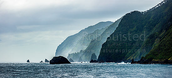 Fiordland wild coastline, coastal cliffs and jagged rocky shore near Te Puaitaha Breaksea Sound. Rainforest clinging to cliffs. Panorama, Fiordland National Park, Southland District, Southland Region, New Zealand (NZ)