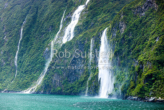 Milford Sound Piopiotahi with countless waterfalls from rain cascading into the fiord, Milford Sound, Fiordland National Park, Southland District, Southland Region, New Zealand (NZ)