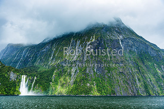 Stirling Falls (151m left) waterfall entering Milford Sound Piopiotahi fresh from rain, Milford Sound, Fiordland National Park, Southland District, Southland Region, New Zealand (NZ)