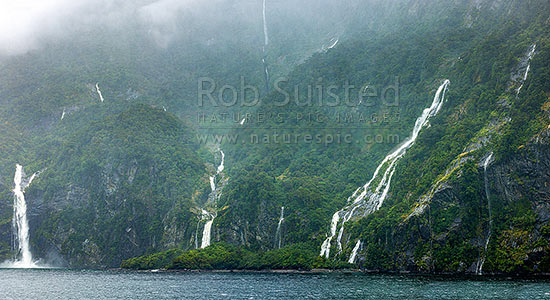 Milford Sound Piopiotahi with countless waterfalls from rain cascading into the fiord, Milford Sound, Fiordland National Park, Southland District, Southland Region, New Zealand (NZ)