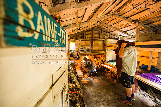 Baine-iti hut, an historic iconic hut in the Orongorongo River valley, built in the 1920's by Jack Baine. Private, but open to the public, Remutaka Forest Park, Hutt City District, Wellington Region, New Zealand (NZ)