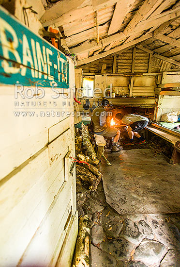 Baine-iti hut, an historic iconic hut in the Orongorongo River valley, built in the 1920's by Jack Baine. Private, but open to the public, Remutaka Forest Park, Hutt City District, Wellington Region, New Zealand (NZ)